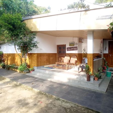 Munnar Home Stay Teadrops Plantation Villa エクステリア 写真