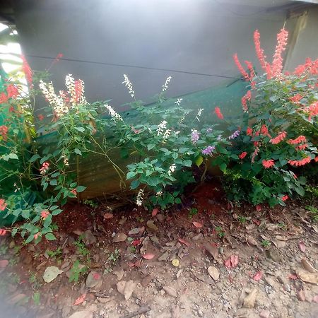 Munnar Home Stay Teadrops Plantation Villa エクステリア 写真