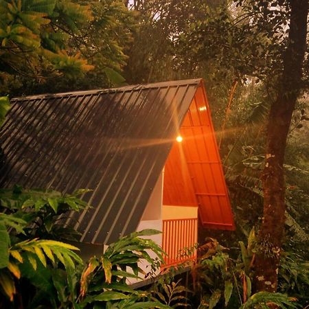 Munnar Home Stay Teadrops Plantation Villa エクステリア 写真