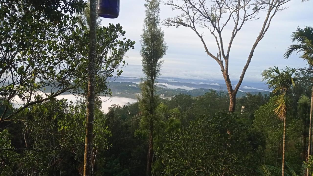 Munnar Home Stay Teadrops Plantation Villa エクステリア 写真