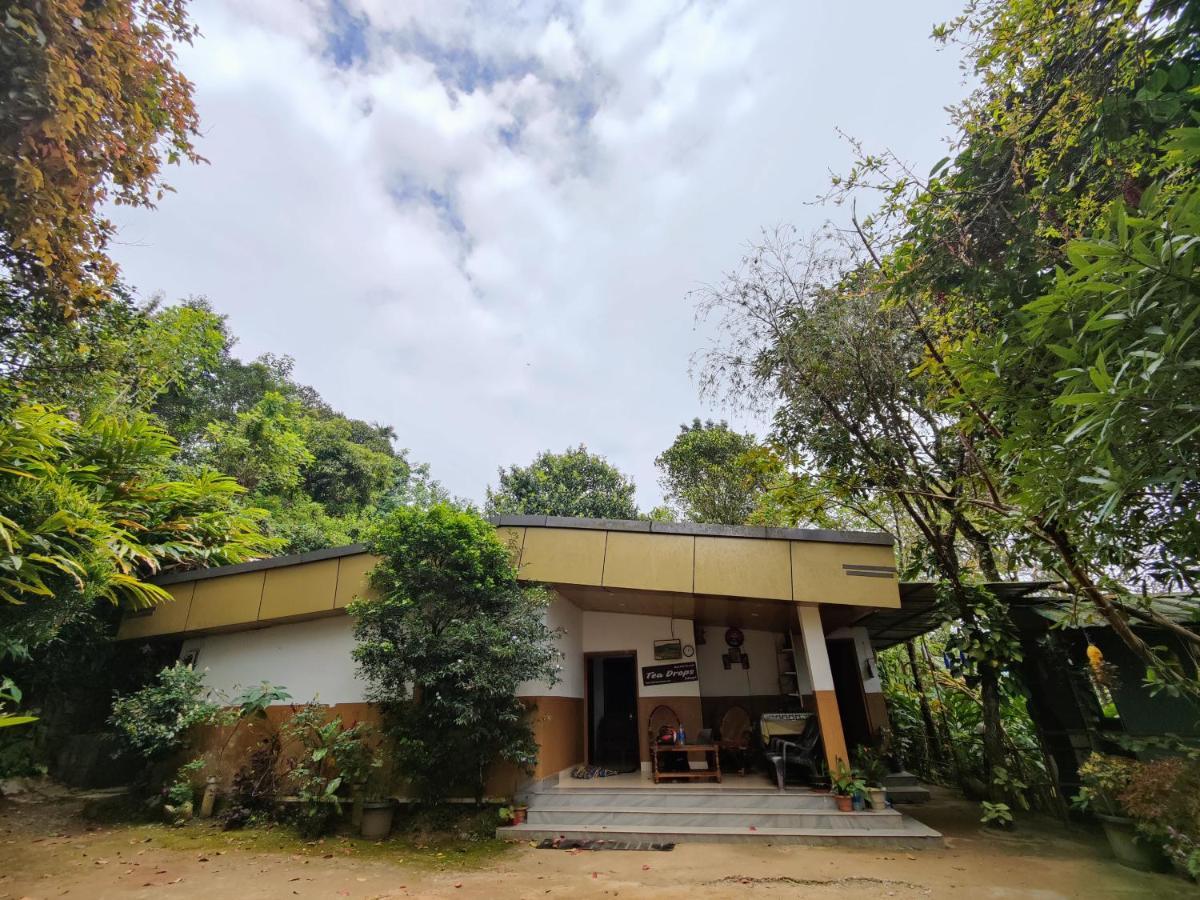 Munnar Home Stay Teadrops Plantation Villa エクステリア 写真