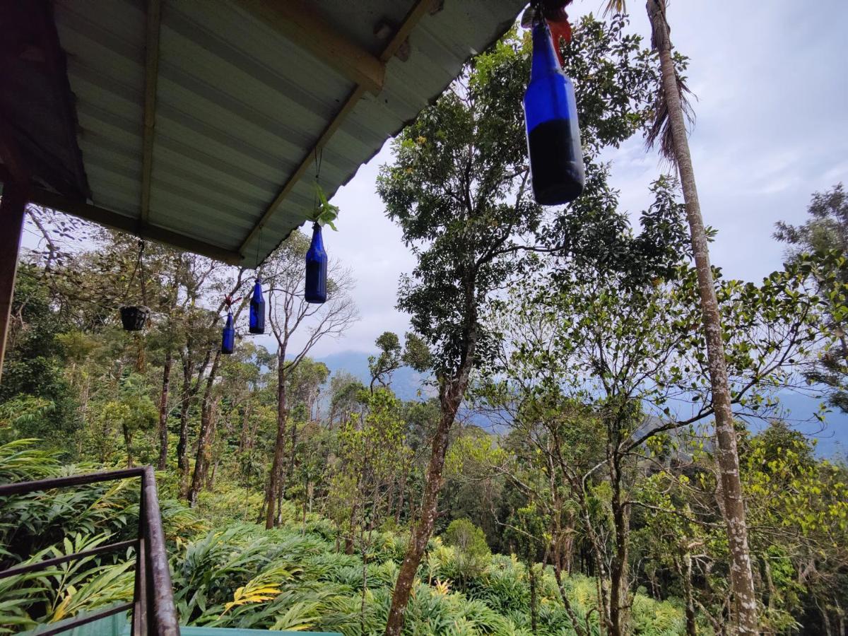 Munnar Home Stay Teadrops Plantation Villa エクステリア 写真