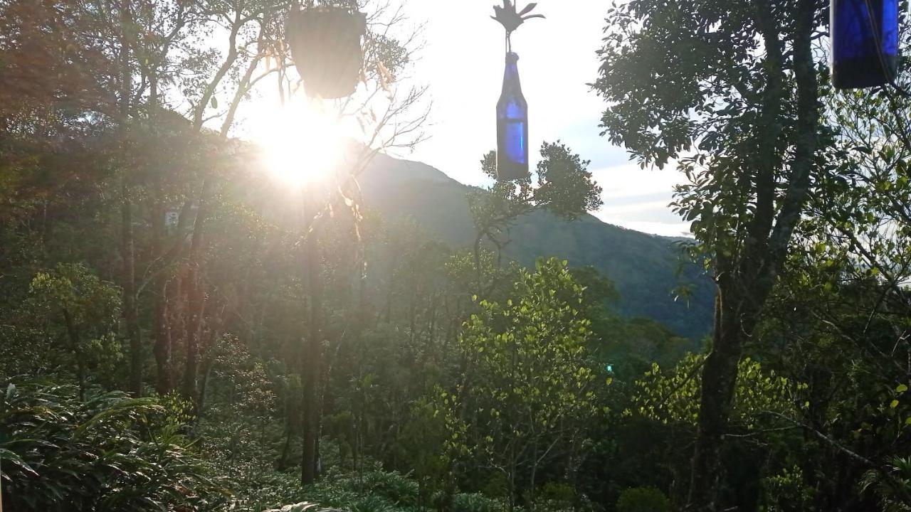 Munnar Home Stay Teadrops Plantation Villa エクステリア 写真