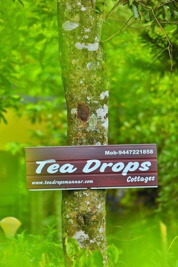 Munnar Home Stay Teadrops Plantation Villa エクステリア 写真