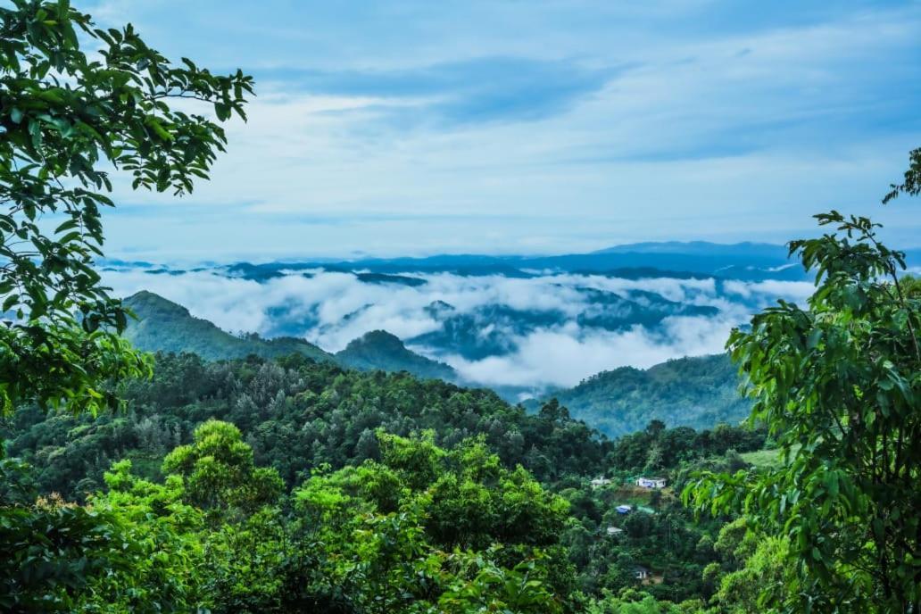 Munnar Home Stay Teadrops Plantation Villa エクステリア 写真