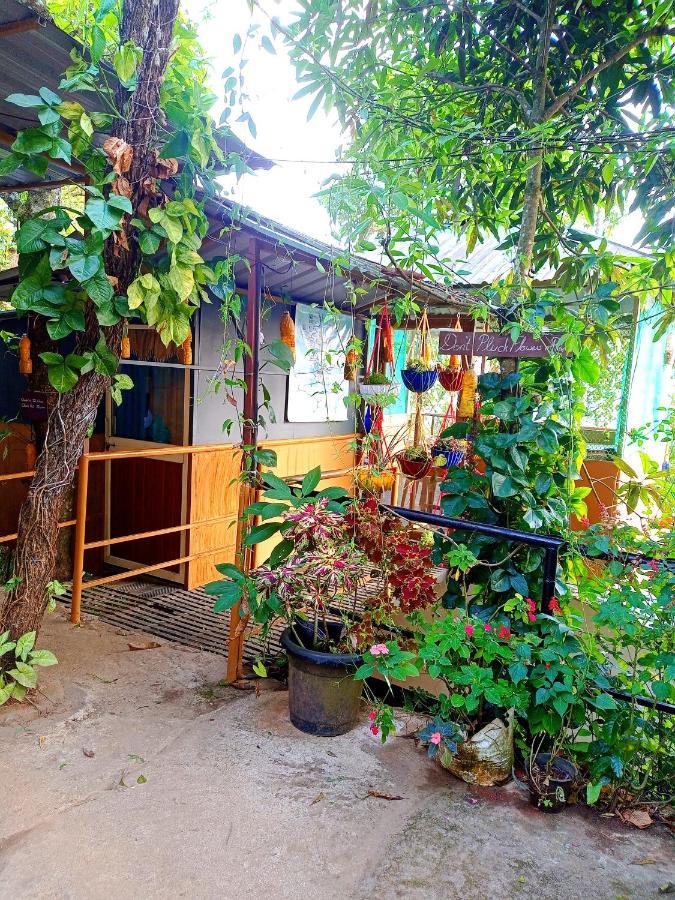 Munnar Home Stay Teadrops Plantation Villa エクステリア 写真