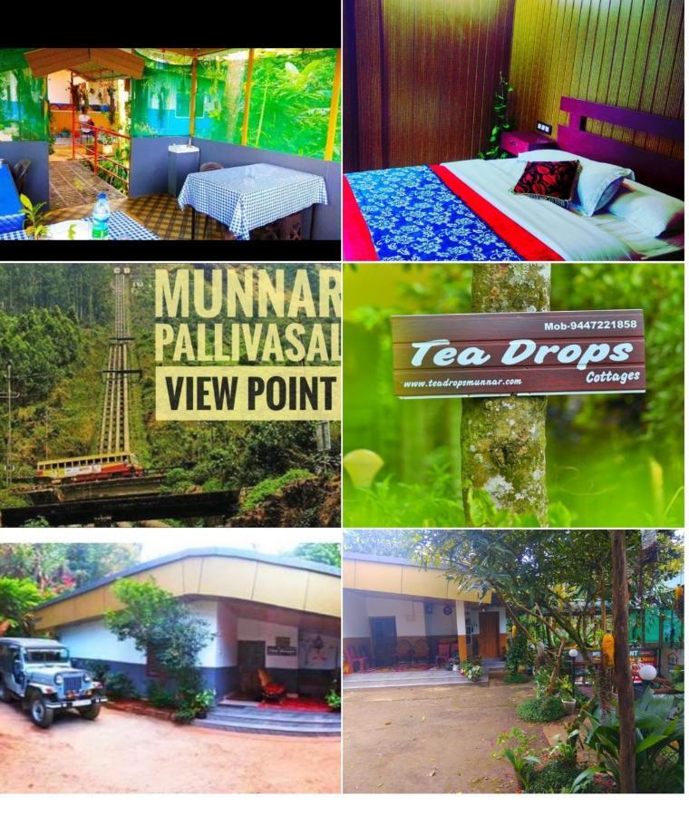 Munnar Home Stay Teadrops Plantation Villa エクステリア 写真