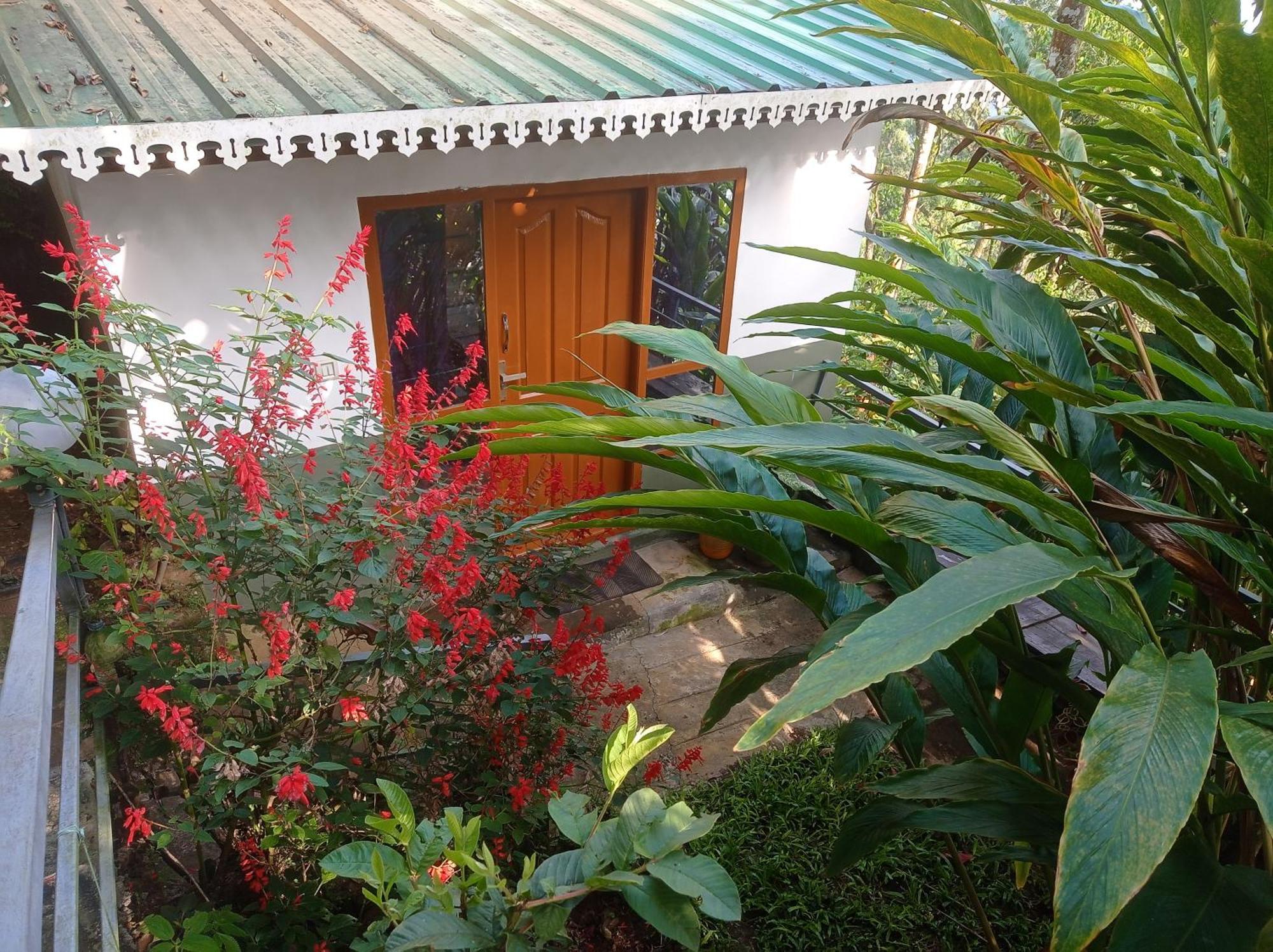 Munnar Home Stay Teadrops Plantation Villa エクステリア 写真