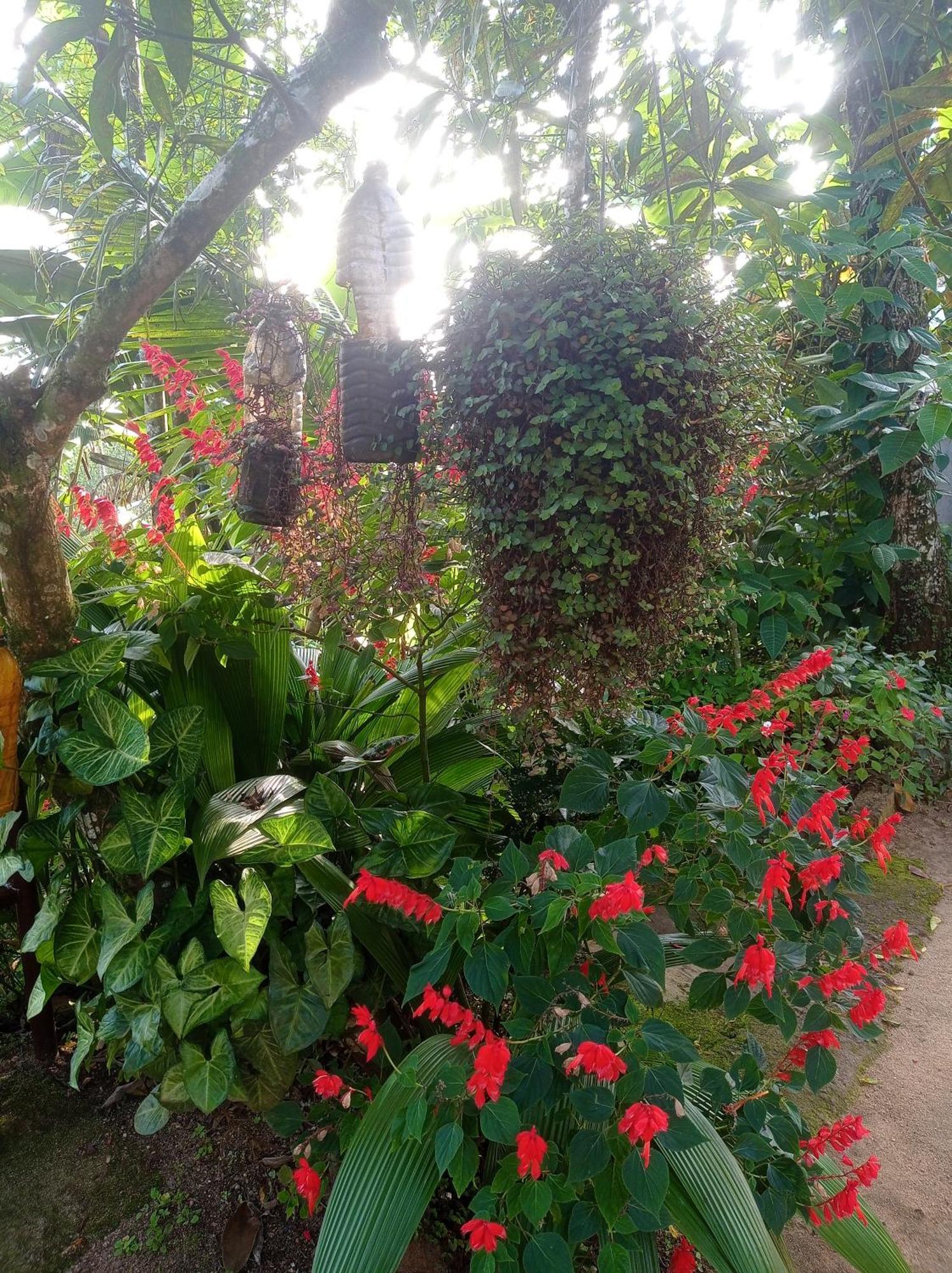 Munnar Home Stay Teadrops Plantation Villa エクステリア 写真