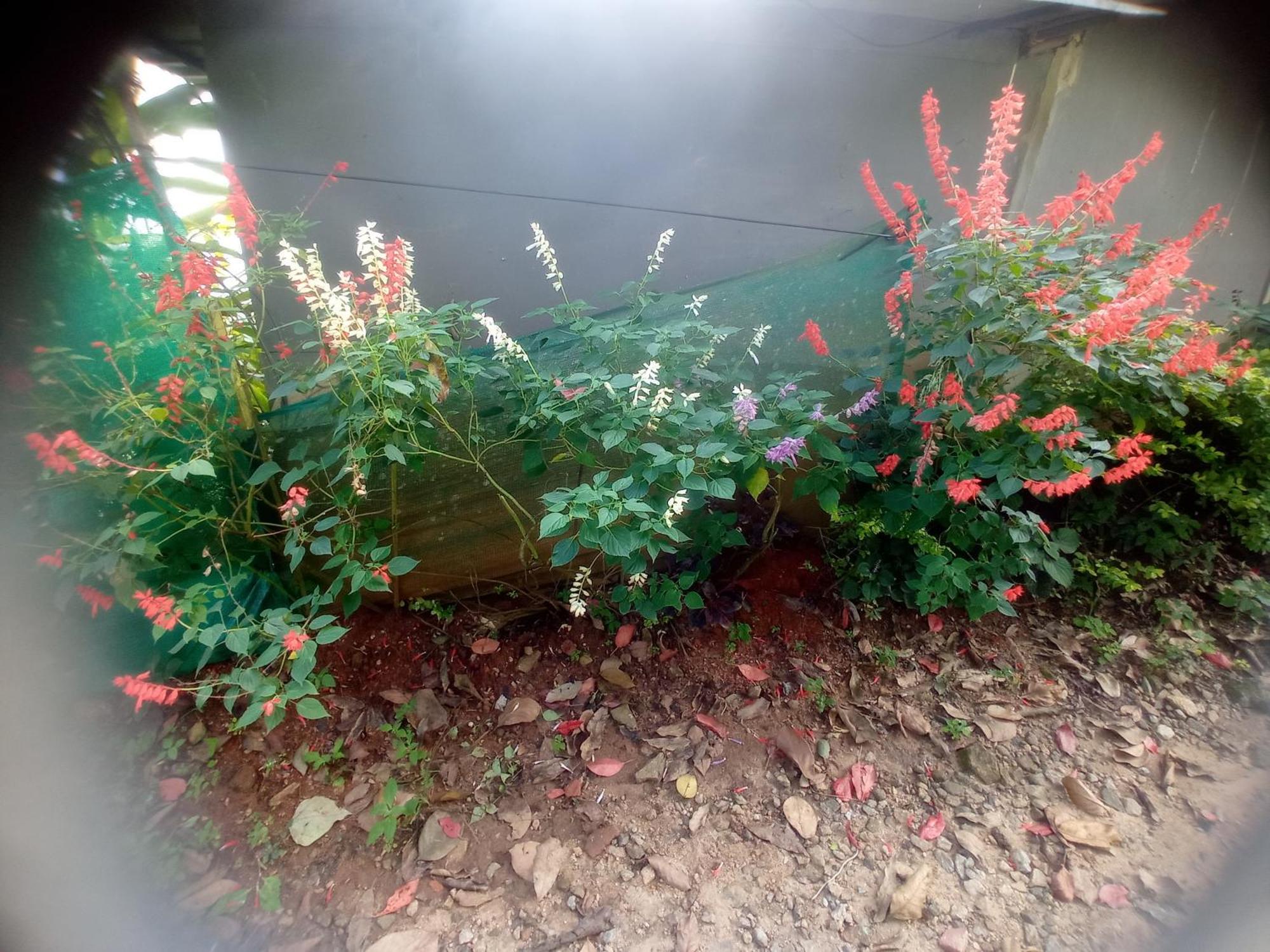 Munnar Home Stay Teadrops Plantation Villa エクステリア 写真