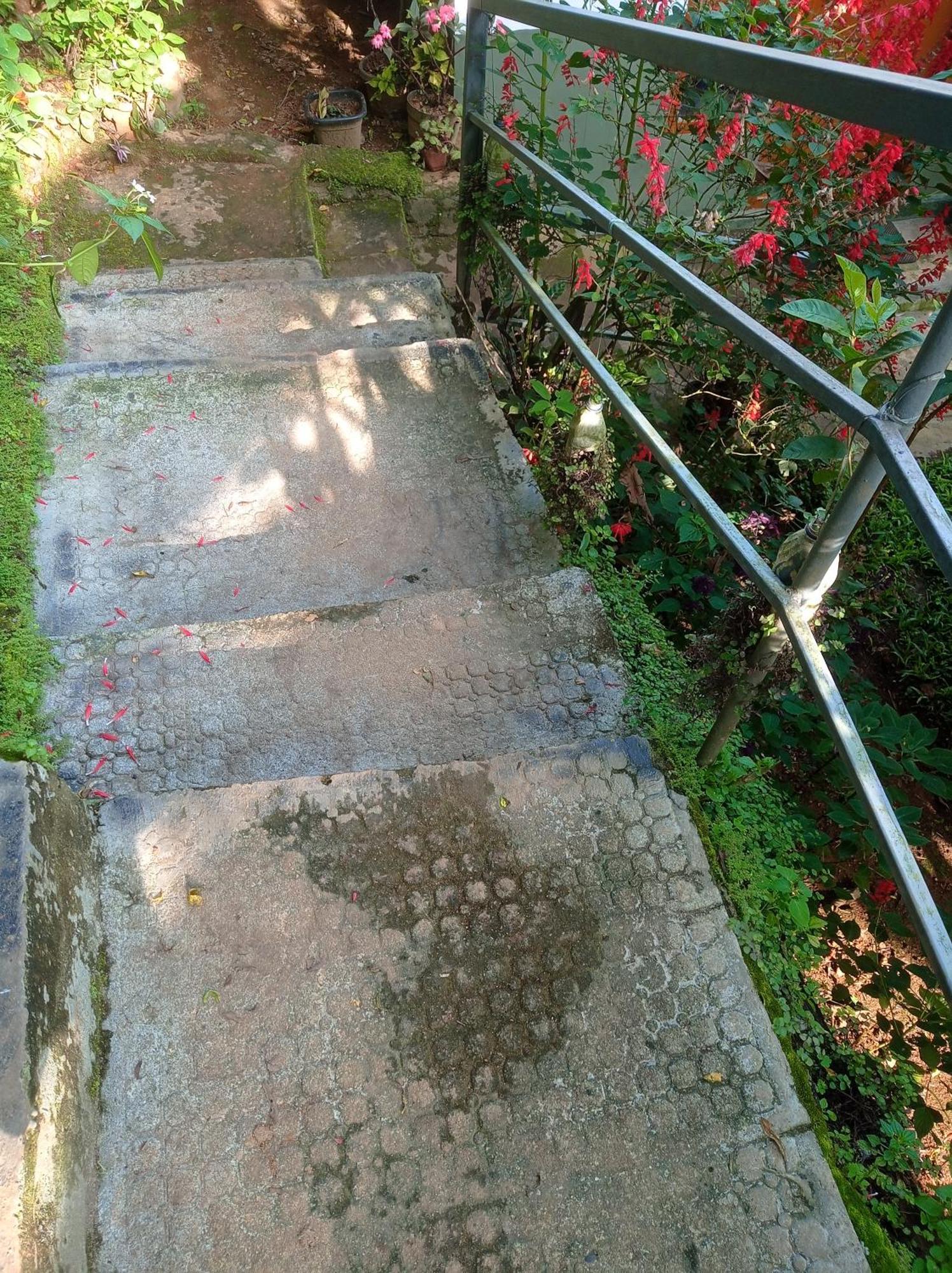 Munnar Home Stay Teadrops Plantation Villa エクステリア 写真