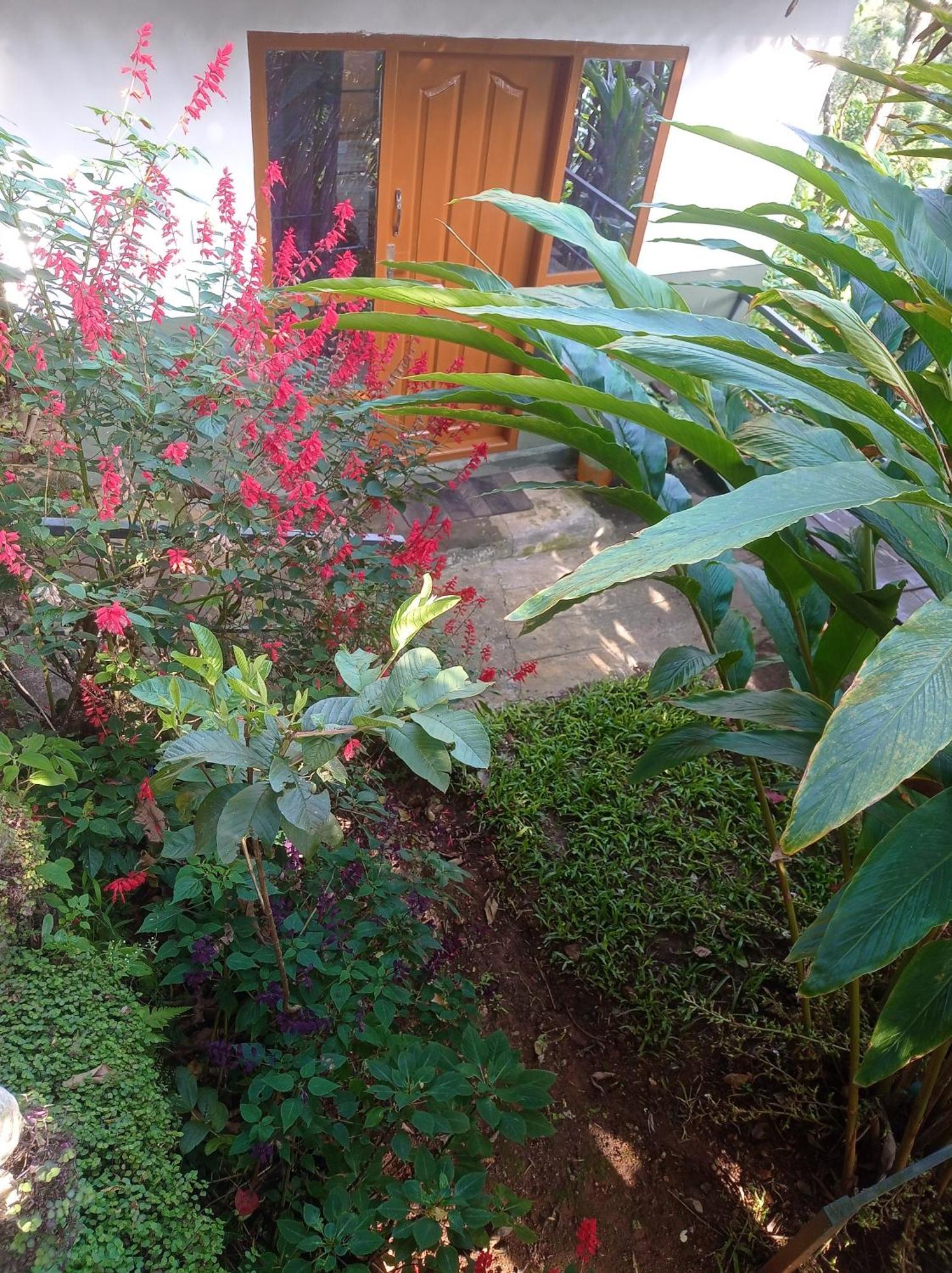 Munnar Home Stay Teadrops Plantation Villa エクステリア 写真