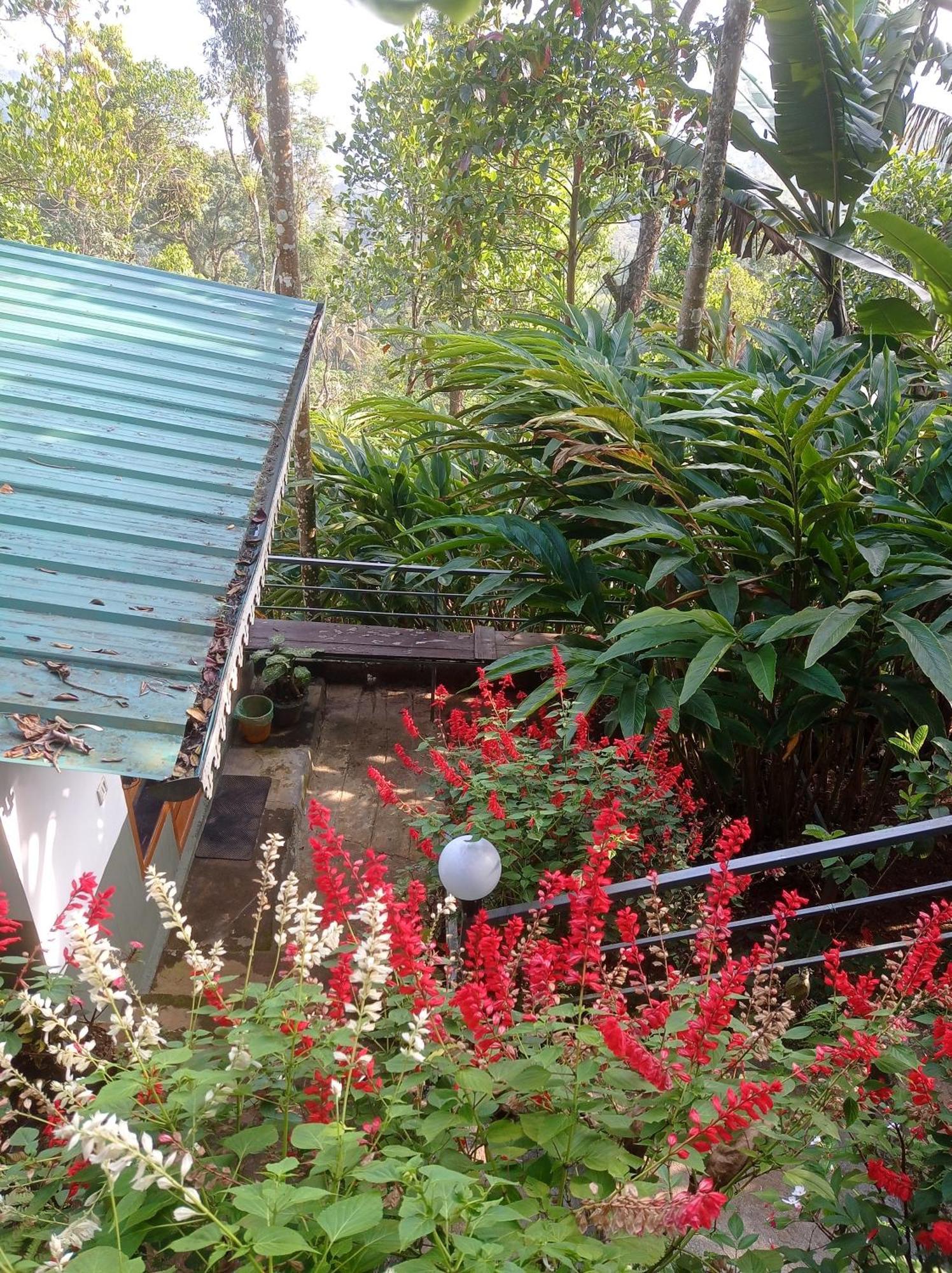 Munnar Home Stay Teadrops Plantation Villa エクステリア 写真