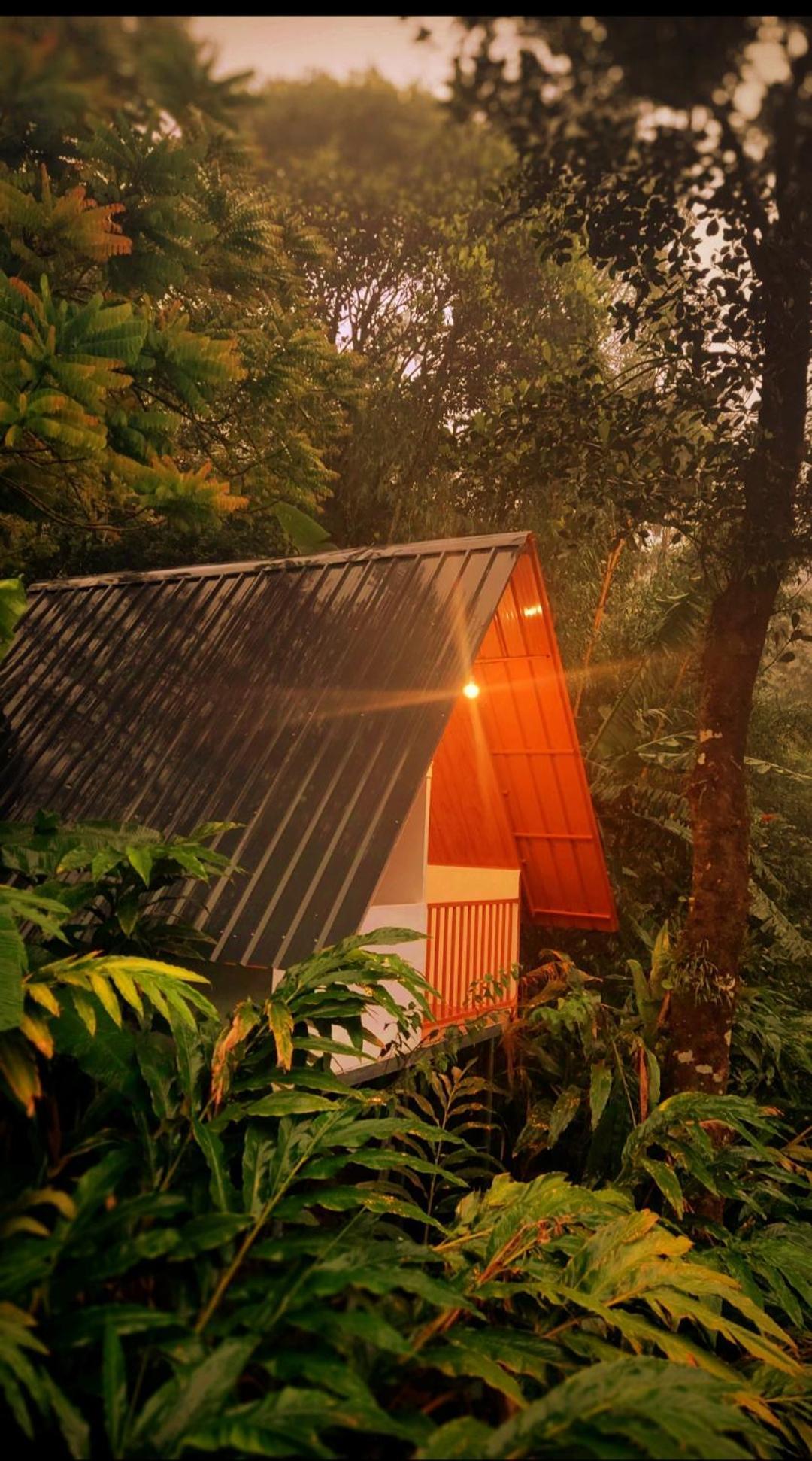 Munnar Home Stay Teadrops Plantation Villa エクステリア 写真